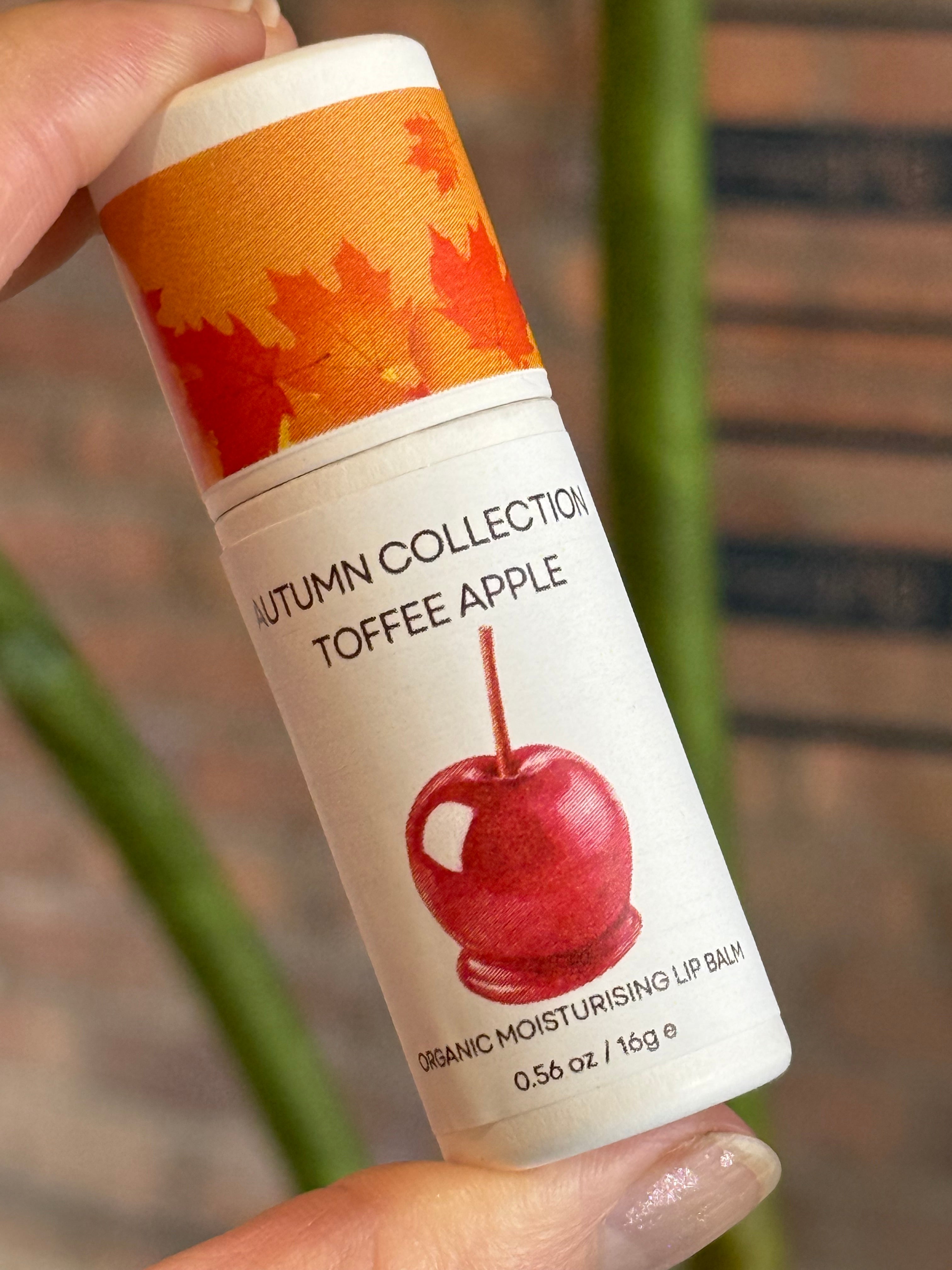 Autumn Lip Balm Collection - moisturising organic natural protection