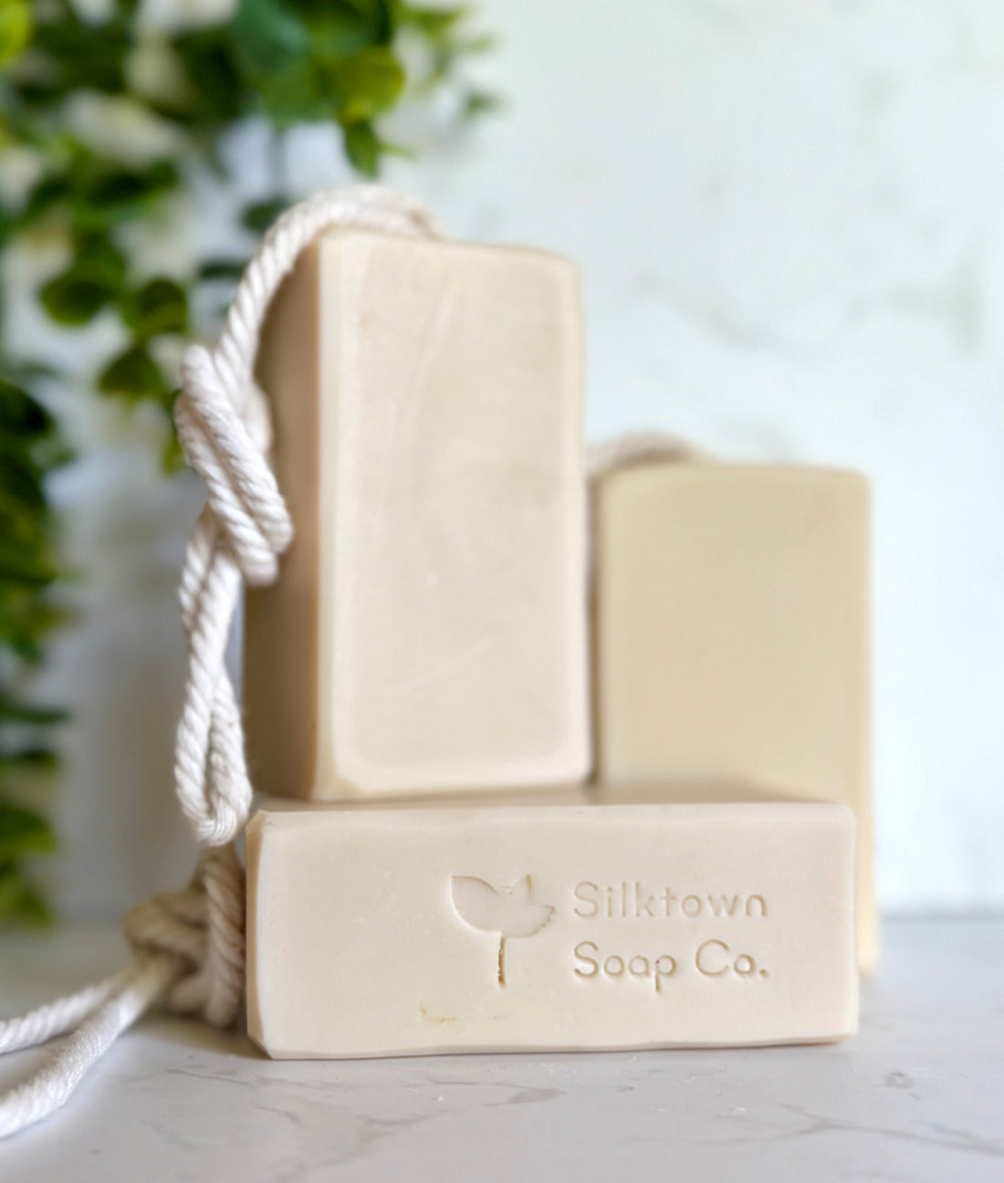 Two bars of soap on a rope with &