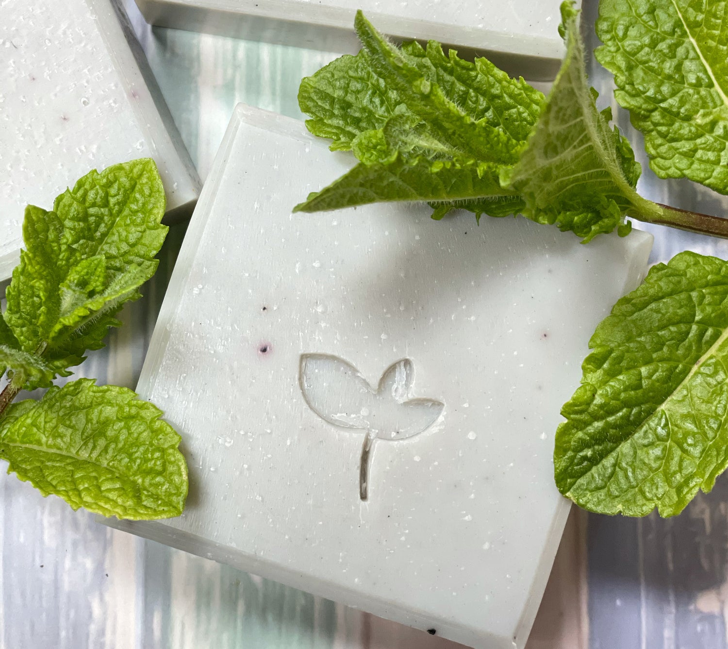 Ocean Breeze handmade soap and mint leaves