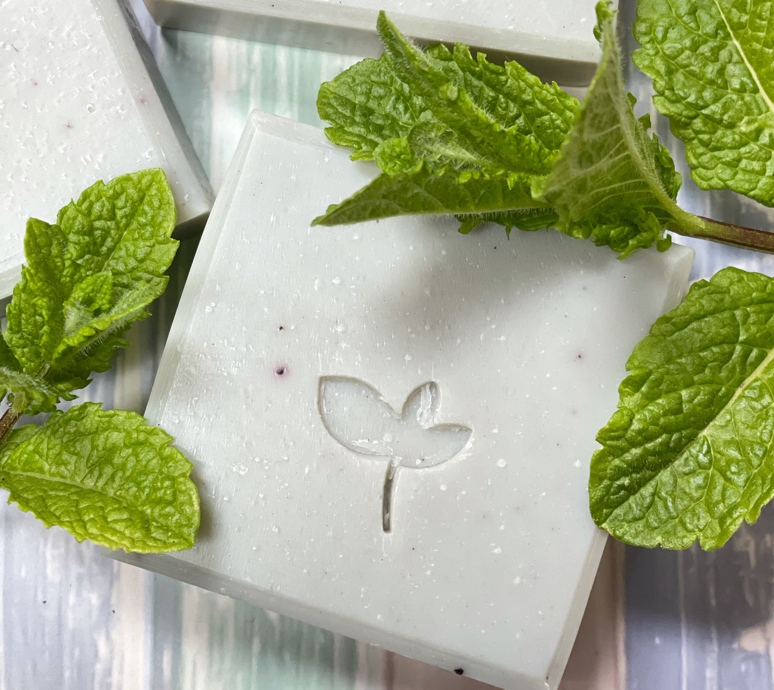 Ocean Breeze Natural soap and mint leaves