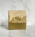 The Alchemists Garden handmade soap