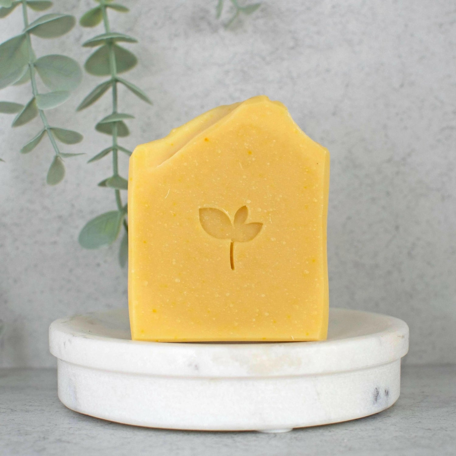 Summer Solstice Soap - Silktown Soap Company