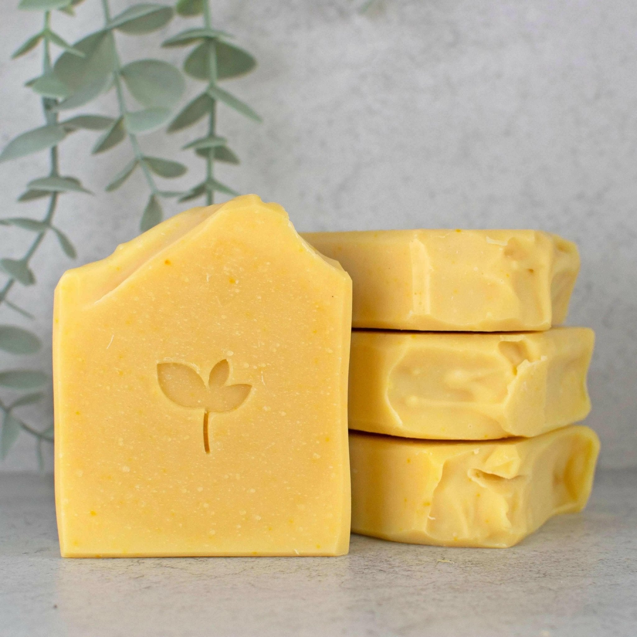 Summer Solstice Soap - Silktown Soap Company