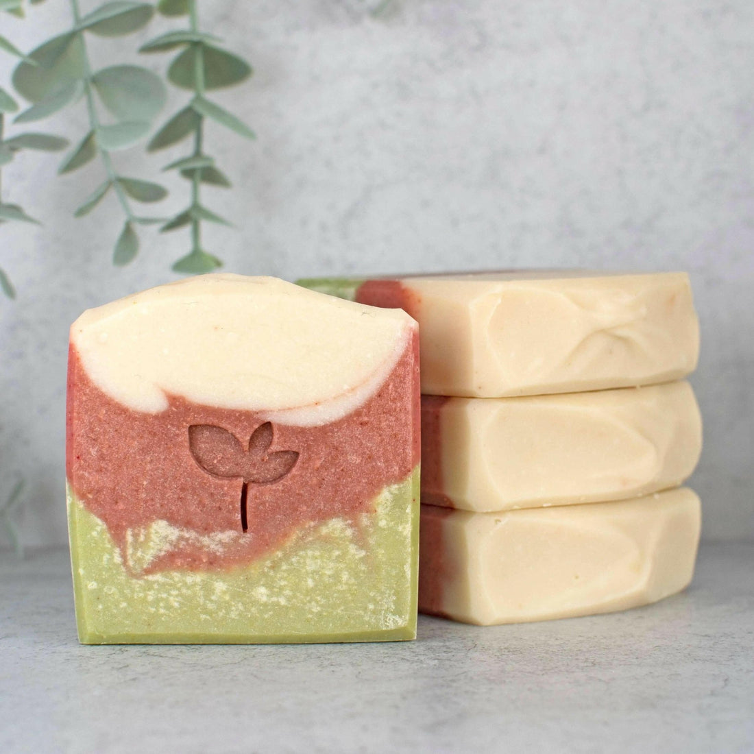 The 100 Soap - Silktown Soap Company